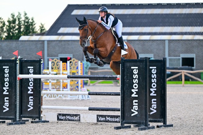 Sparkle-K Van Kattenheye
